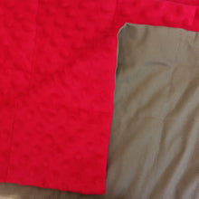 Load image into Gallery viewer, 90x120cm, Beige Cotton &amp; Red Minky Blanket, 3.7kg